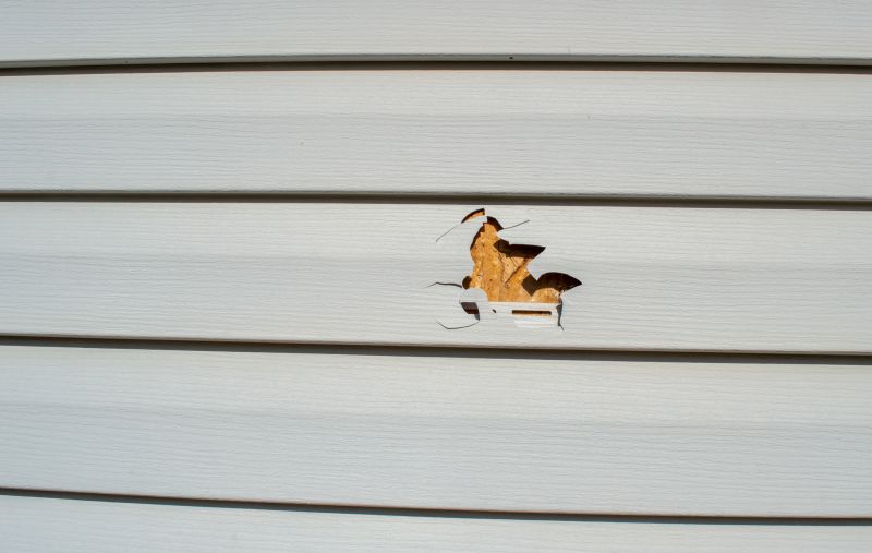 Patch and Seal Vinyl Siding